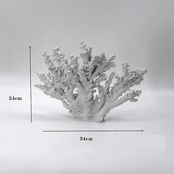 特大天然珊瑚　置き物インテリア　熱帯風 Amazon.co.jp: 珊瑚 サンゴ オブジェ F 水槽 アクアリウム